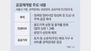 공공재개발서도 ‘래미안’-‘자이’ 단지 나온다[부동산 빨간펜]