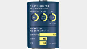 배터리 3사 ‘과잉투자 늪’… 가동률 절반 수준 그쳐