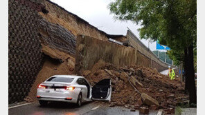 [단독]작년 사망 사고 난 창원NC파크 등… 안전점검 보고서에 과거 사진 ‘복붙’
