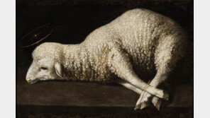 부들거리는 촉감… 세밀한 정물화인듯, 죽음 앞둔 어린양… 경건한 종교화인듯