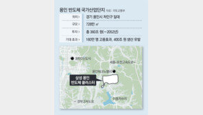 법원 “용인 반도체 클러스터 승인 적법”… 환경단체 소송 1심 기각