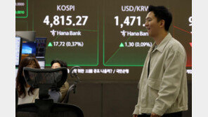 [속보]코스피, 4800선도 넘었다…11거래일 연속 사상 최고치