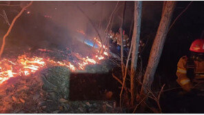 [속보]역대최악 ‘경북산불’ 낸 50대 실화자, 징역형 집행유예