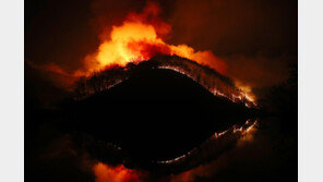 역대 최악 산불 일으킨 실화자 2명 집역형 집행유예 “과실에 의한 범행”