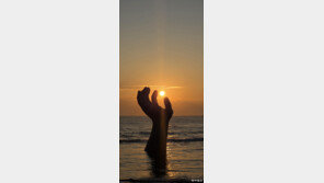 지구가 가꾼 ‘바다 정원’에서 새해를 만나다[김선미의 시크릿가든]