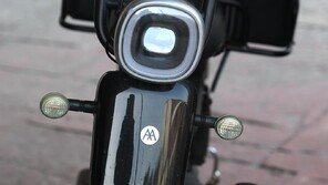 [고양이 눈]기분 좋은 하루