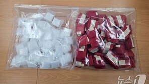 필로폰 4만명분 ‘차 티백’ 속에 밀반입한 중국인…징역 15년 구형