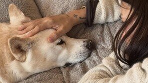 이효리♥이상순, 15년 함께 한 반려견 구아나 떠나보냈다