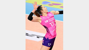 ‘흥국 레베카 저지’ 특명 받은 IBK 육서영