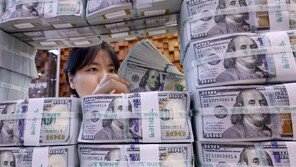 韓 환리스크 달러자산, 외환시장 규모의 25배…IMF “불균형적으로 커” 경고