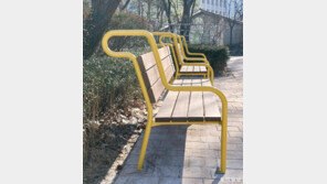 [고양이 눈]“말 달리자”