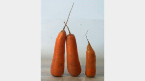 ‘건강 지킴이’ 당근, 효능 높이는 섭취법[정세연의 음식처방]