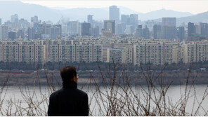 10·15 대책에도…‘마포 성산시영’ 50㎡ 매매 14억원 최고가 경신