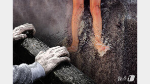 군포 반월호수서 70대 여성 물에 빠져 사망…경찰 수사