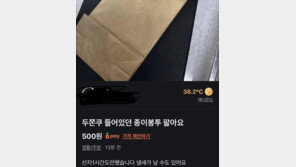 “두쫀쿠 담았던 종이봉투 팔아요”…열풍 비꼬기? [e글e글]