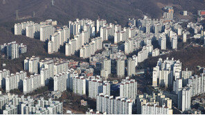 10·15 대책 이후 아파트값 누적 상승률…용인 수지가 1위