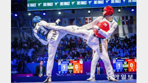 씨름 이어 태권도도… 유네스코 남북 공동 등재 추진