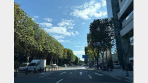 스마트폰으로 보는 우리 동네 가로수 정보