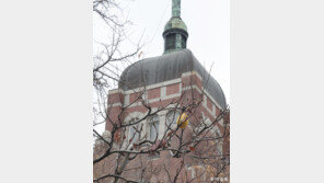 [고양이 눈]겨울의 인심