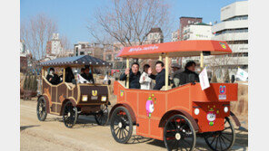 말 대신 전기… ‘울산 관광마차’ 달린다