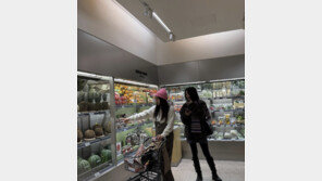 62세 황신혜, 붕어빵 딸과 마트 데이트…멜빵 입고 찰칵