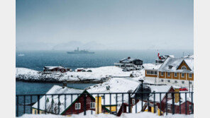 美 공화당도 “세계대전 막아온 나토 붕괴될 것” 우려 목소리