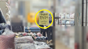 이불 가게까지 “두쫀쿠 있어요”…식품판매 허가는 받았나?