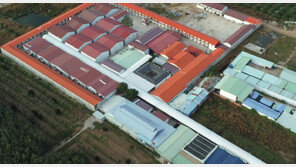 “호텔에 2주 있으면 2000달러 준다”…베트남서 납치당한 20대 남성