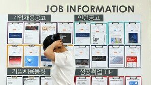 청년층 ‘쉬었음’의 반전…“구직 눈높이 낮아, ‘중소기업’ 선호”