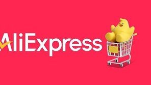 알리 셀러 계정 해킹 당해…해커가 86억원 정산금 가로챘다