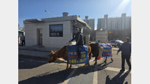 “내 고소 왜 각하하나” 소 타고 수원 경찰서 항의 방문
