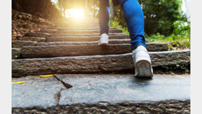 “하루 3분이면 충분”…헬스장 안 가도 건강해지는 ‘틈새 운동’법