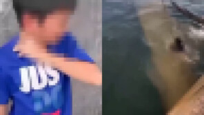 ‘깔깔’ 웃으며 바다 투척…초등생 학폭 영상에 日 ’발칵‘