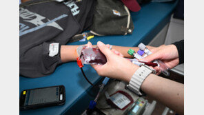 “O형 피가 없다”…혈액 보유량 4.4일분, 적신호 켜졌다