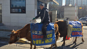 “내 고소 왜 각하하나” 소 타고 수원 경찰서 항의 방문