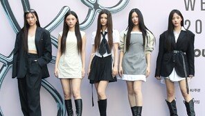 ‘뉴진스 뮤비 게시’ 돌고래유괴단, 어도어 상대 강제집행정지 신청