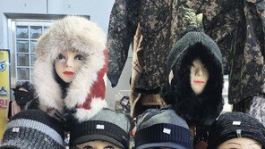 [고양이 눈]추위야, 물렀거라