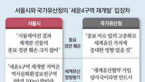 ‘종묘 경관 검증 풍선’ 일단 철수했지만…