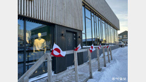 “美도 트럼프도 싫다” 그린란드 깃발 뒤덮인 누크…생필품 사재기도