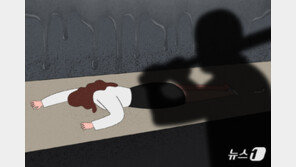 크리스마스에 둔기로 외조모 살해한 30대…“취업 잔소리 때문”