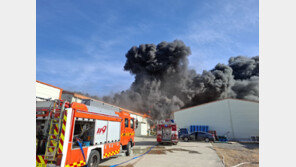 고흥 수산물 가공공장 불 인근 야산까지 번져…6시간 만에 진화