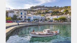 폐암 말기 환자가 40년 더 살았다…‘기적의 섬’ 어디?