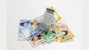 지갑 얇아진 소비자들, 명품 대신 공동구매·중고로 몰렸다