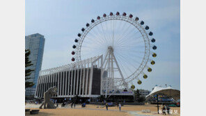 속초해수욕장 대관람차 ‘철거 위기’…사업자, 행정소송 패소