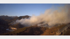 광양에 산불, 진화율 20%…주민들 마을회관 대피