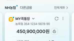 자산관리부터 쇼핑까지 한번에 이용