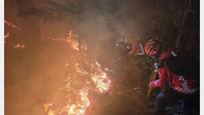 부산 기장 산불 밤새 이어져…진화율 65%, 헬기 13대 투입