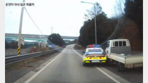 비틀비틀 화물차, 경찰차가 들이받아 멈춰…의식 잃은 운전자 구했다