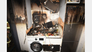 고양이가 전자레인지 켜 불냈다…‘반려동물 화재’ 주의보