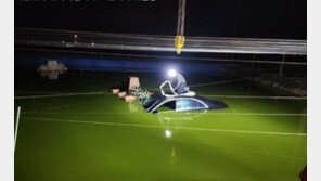 고가 외제차 고의로 물속에 ‘풍덩’…1억 원대 보험금 편취한 일당